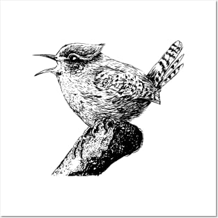 Wren bird ink painting Posters and Art